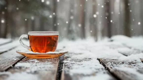 Health Benefits Of Herbal Tea In Winter | Best Herbal Tea For winter | Heath benfits of Herbal Tea | winter health tips | green tea | Chamomile Tea | Cinnamon Tea | tulsi tea