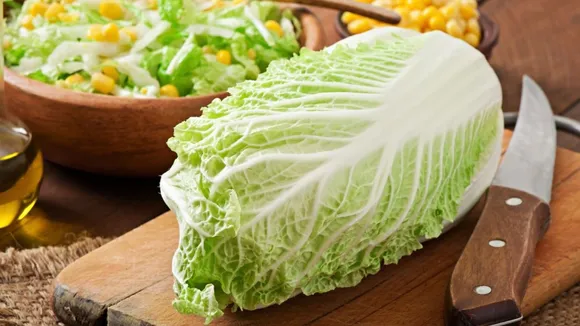 Vegetables | Cabbage