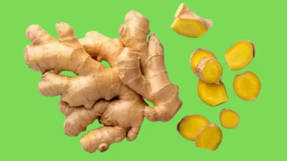 (તસવીર: Canva)