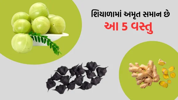 (તસવીર: Canva)