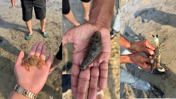 Marine National Park Jamnagar