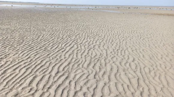 (તસવીર: IE Gujarati)
