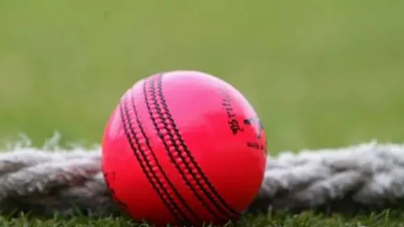 Pink Ball Test, ind vs aus