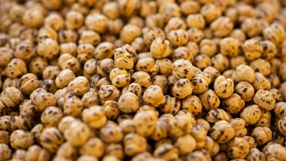  Chana benefits health tips in gujarati