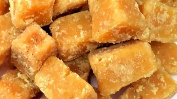 (તસવીર: સોશિયલ મીડિયા)