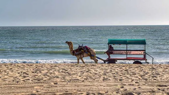 Kutch Rann Utsav 2024 | Kutch Rann Utsav Tour | Kutch Rann Utsav 2024 Date | Kutch Rann Utsav Tent City | Best Famous Places Visit In Kutch | Gujarat Tourist places