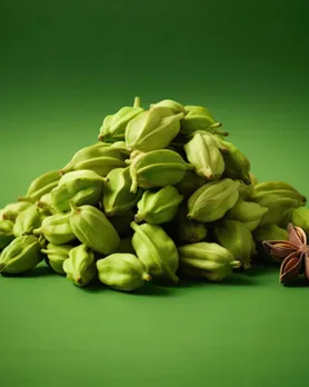cardamom