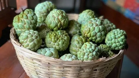 (તસવીર: rujutadiwekar/Instagram)