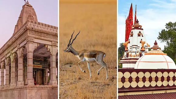 palitana | shatrunjaya hill | palitana shatrunjaya hill history | shatrunjaya hill height | palitana jain temple darshan | famous places visit in palitana | famous places visit in Bhavnagar | famous jain derasar in Gujarat