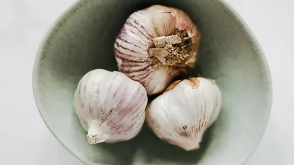 garlic