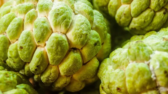 (તસવીર: Freepik)