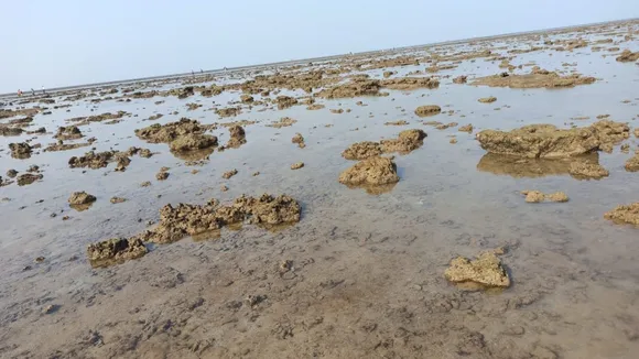 (તસવીર: IE Gujarati)
