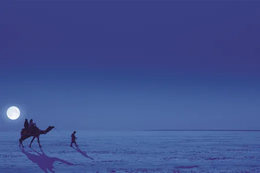 (Photo Source: Gujarat Tourism)