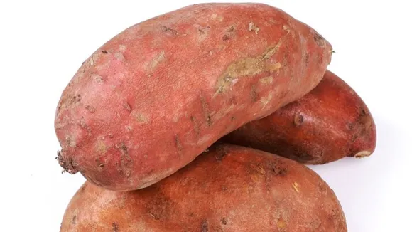 sweet potato | Winter Food