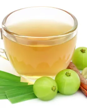 Amla Tea benefits in gujarati