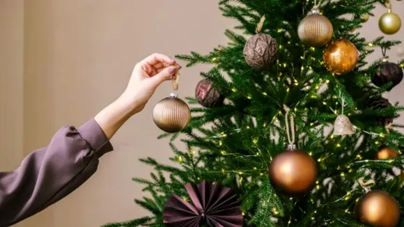 (તસવીર: સોશિયલ મીડિયા)