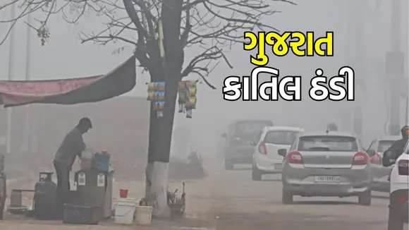 ગુજરાતમાં કાતિલ ઠંડી, કચ્છમાં કોલ્ડ વેવની આગાહી , Gujarat winter Weather update