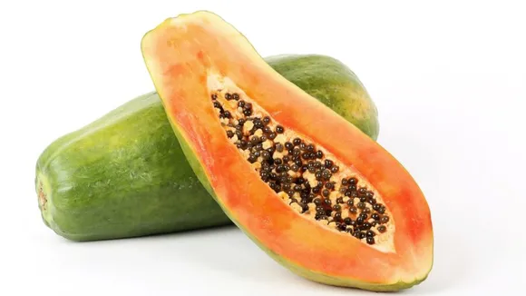 (તસવીર: Freepik)
