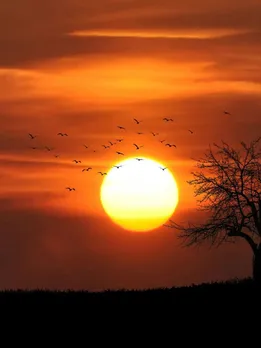 dharm, vastu tips, Astrology,