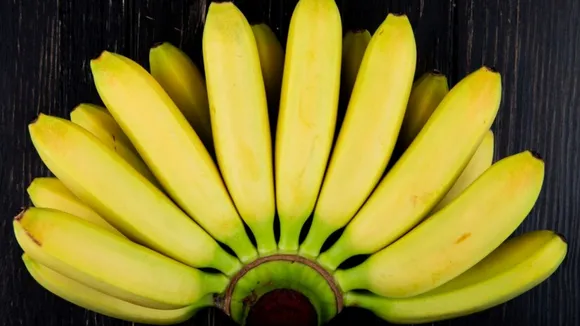 (તસવીર: Freepik)