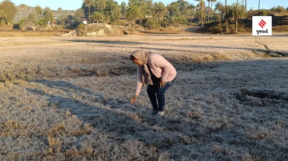 mount abu | mount abu tour plan | mount abu snowfall 2024 | mount abu temperature today | mount abu weather | hill stations in rajasthan | tourist places in mount abu | mount abu train