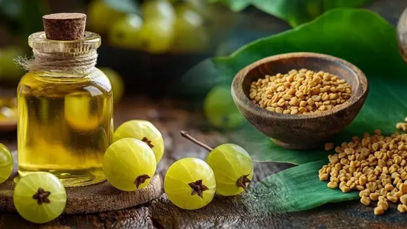 DIY amla hair masks, Amla Hair Care Tips