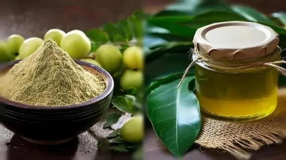DIY amla hair masks, Amla Hair Care Tips