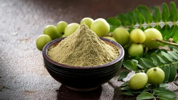 DIY amla hair masks, Amla Hair Care Tips