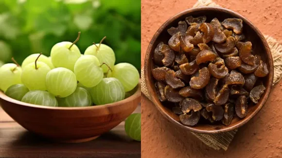 Amla Mukhwas Recipe making tips