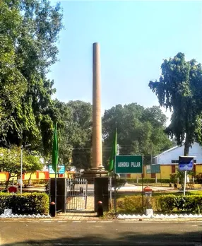 Ashoka Pillar