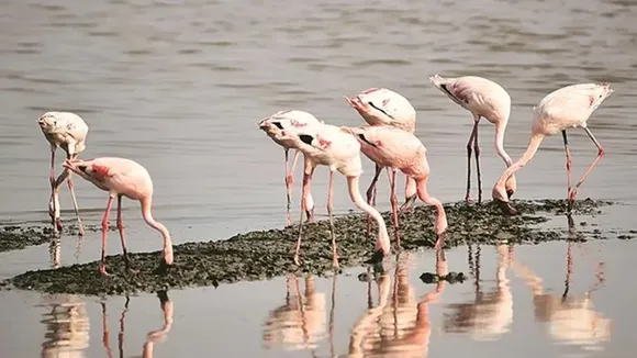 બુલેટ ટ્રેનનો લેટેસ્ટ વીડિયો, અંબાજીમાં દાદાનું બુલડોઝર સહિત જાણો ગુજરાતના આજના મુખ્ય સમાચાર