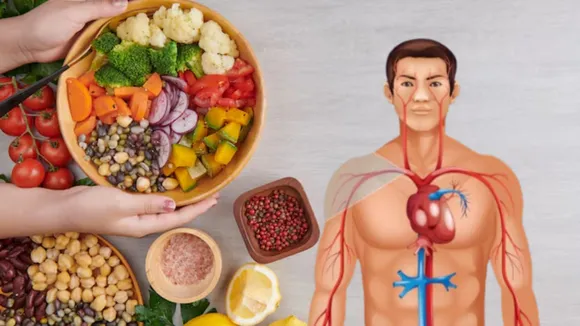 Cholesterol Level Control Diet Tips