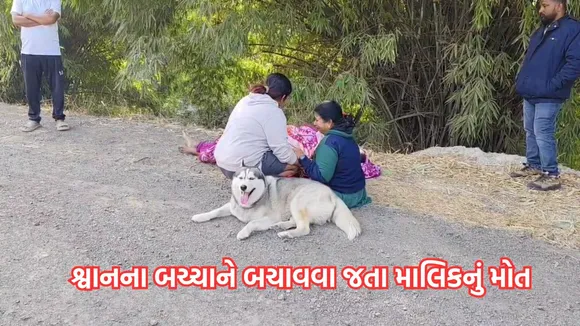 Dog lover death, death due to drowning, German Shepherd,