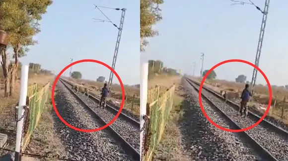 Lion Video, Bhavnagar Lion Video