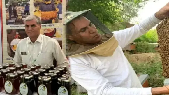 Beekeeping, honey business, honey farming,
