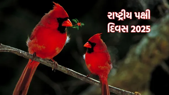 National Bird Day 2025, National Bird Day