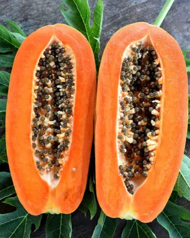 Papaya