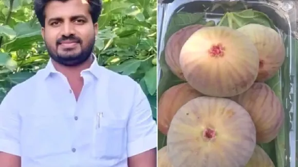 Success Story, Who is Samir Dombe, Samir Dombe success, Samir Dombe success story,