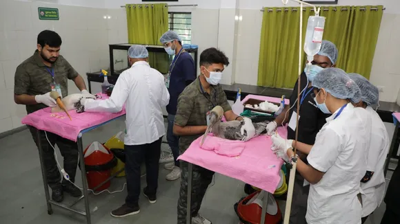 Uttarayan accident, Makar Sankranti Uttarayan, Ahmedabad,