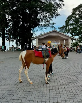 Darjeeling | Darjeeling Tour Plan | famous tourist places in darjeeling | famous tourist places west Bengali | best time for visit to Darjeeling | Darjeeling toy train | Darjeeling tourism places | Darjeeling tea | Darjeeling is famous for | દાર્જિલિંગ પ્રવાસ