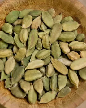 cardamom photo