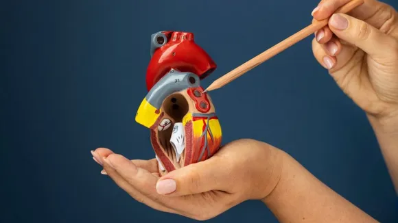 high cholesterol level control tips