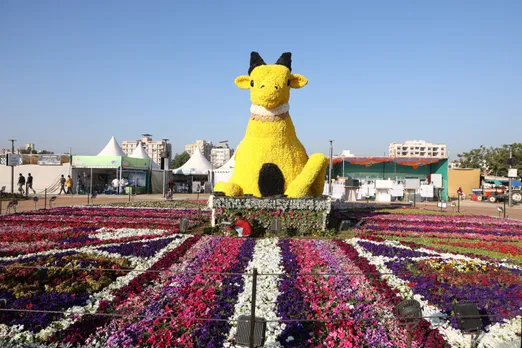 Flower Show Ahmedabad Start Date