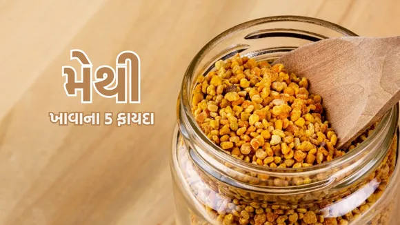 fenugreek seeds benefits | fenugreek seeds benefits in gujarati | fenugreek seeds recipe | Fenugreek benefits for females | How to use fenugreek seed |, Fenugreek seeds for hai |, Fenugreek side effects liver | Fenugreek leaves | fenugreek seeds benefits in diabetes | health tips of fenugreek seeds