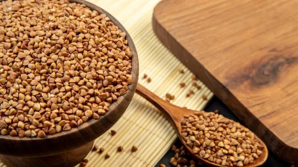 fenugreek seeds benefits | fenugreek seeds benefits in gujarati | fenugreek seeds recipe | Fenugreek benefits for females | How to use fenugreek seed |, Fenugreek seeds for hai |, Fenugreek side effects liver | Fenugreek leaves | fenugreek seeds benefits in diabetes | health tips of fenugreek seeds