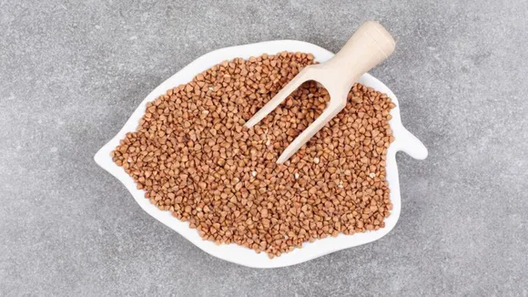 fenugreek seeds benefits | fenugreek seeds benefits in gujarati | fenugreek seeds recipe | Fenugreek benefits for females | How to use fenugreek seed |, Fenugreek seeds for hai |, Fenugreek side effects liver | Fenugreek leaves | fenugreek seeds benefits in diabetes | health tips of fenugreek seeds