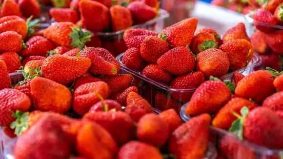 fruits eaten in winter