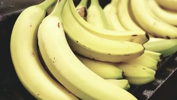 fruits eaten in winter