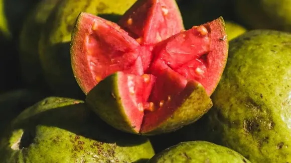 fruits eaten in winter