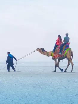 gujarat tourism kutch rann utsav